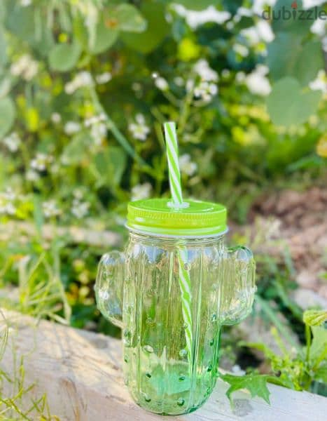 cactus lovers glass jug with straw 2