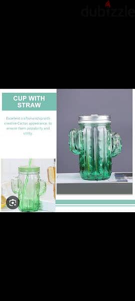 cactus lovers glass jug with straw 3