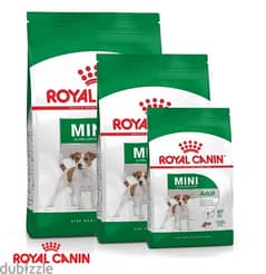 dry food for small dogs