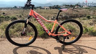 totem mountain bike(81464082)