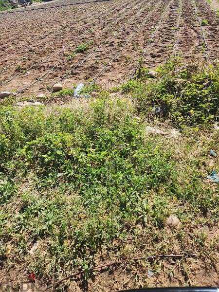 land for sale in damour 700$/m. أرض للبيع في الدامور ٧٠٠$/م 2