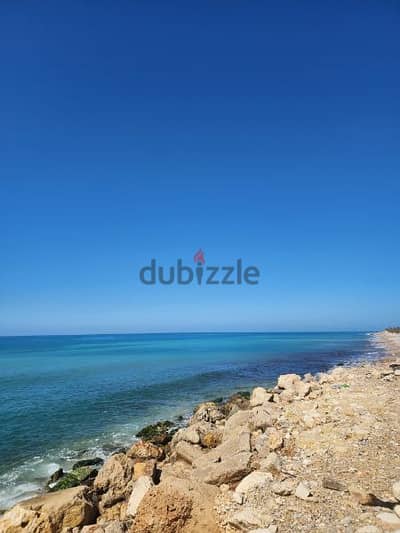 land for sale in damour 700$/m. أرض للبيع في الدامور ٧٠٠$/م