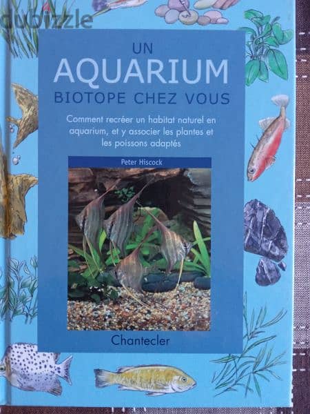 Un aquarium biotope chez vous encyclopedia 0