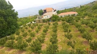 zahle twaite 2039 sqm land for sale with fruit trees Ref#6180