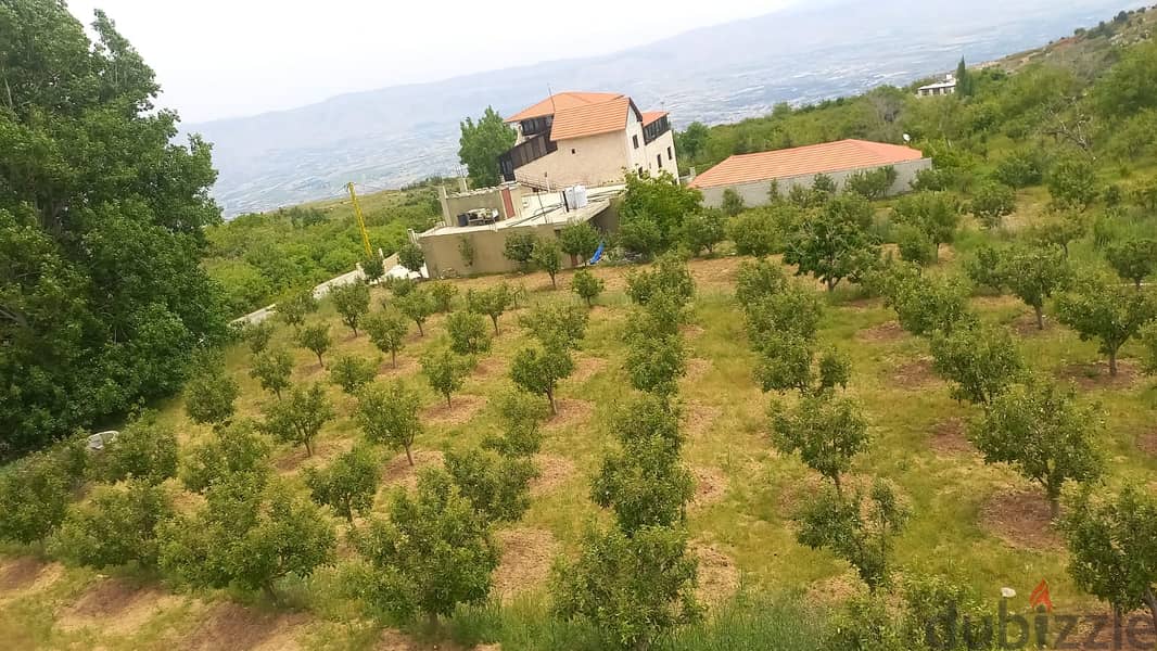 zahle twaite 2039 sqm land for sale with fruit trees Ref#6180 0