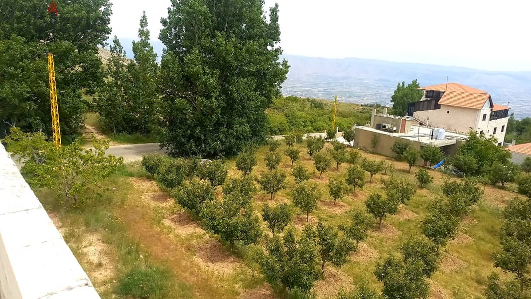 zahle twaite 2039 sqm land for sale with fruit trees Ref#6180 1