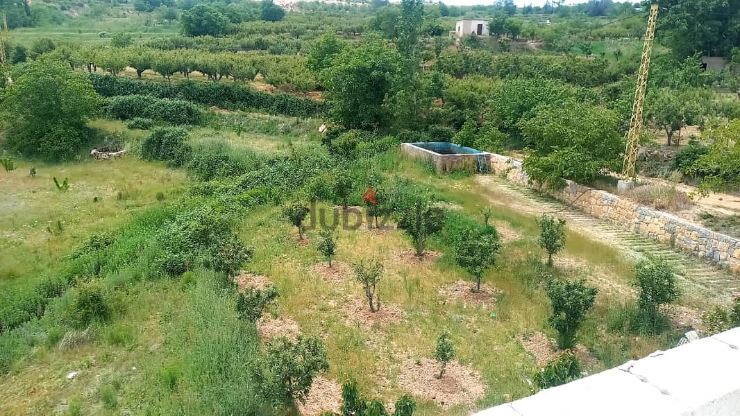 zahle twaite 2039 sqm land for sale with fruit trees Ref#6180 2