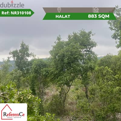 Land for sale in Halat أرض للبيع في حالات