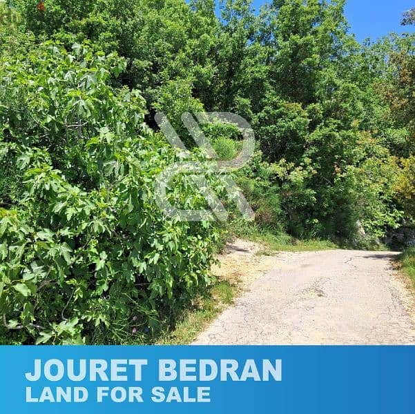 Land for sale in Jouret Bedran - أرض للبيع في جورة بدران/غبالة 1