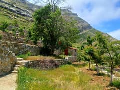 TANNOURINE