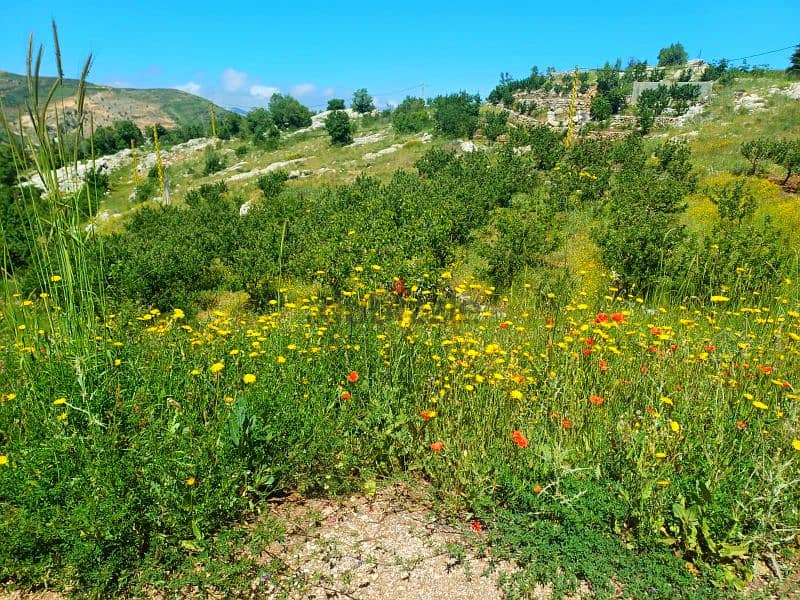 950 SQM IN TANNOURINE MOUNTAINS VIEW 1