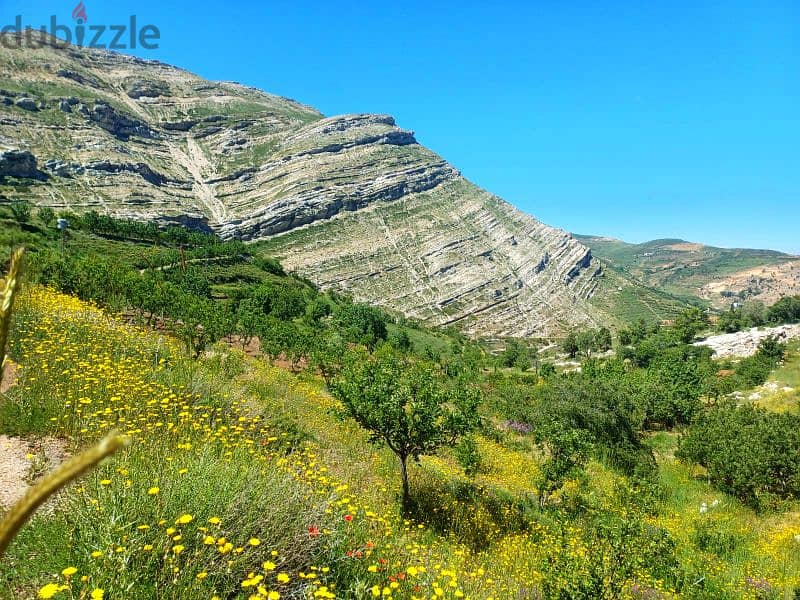 950 SQM IN TANNOURINE MOUNTAINS VIEW 2