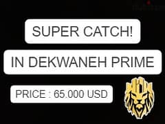 SUPER CATCH IN DEKWANEH PRIME (60SQ) , (DE-261)