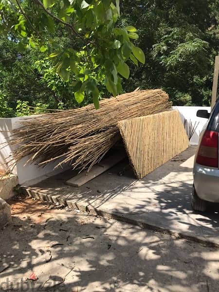 قصب للخيم و للزينة في بيروت)bamboo rolls in beirut 13