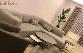 L- form sofa 300*230