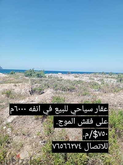 land for sale in anfeh 750$/m. ارض للبيع في أنفه ٧٥٠$/م