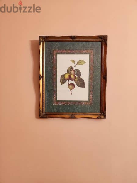 Set of 2 decorative fruit framed pictures. (Nice Price) 1