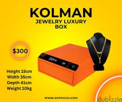 Luxury Jewelry Safe Box New!
