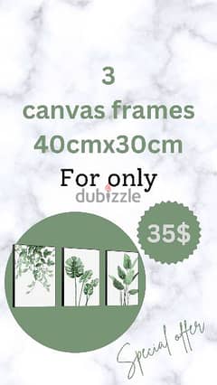 canvas frames