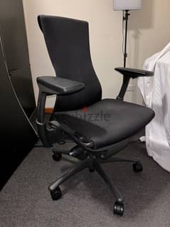 Herman Miller Embody ( ergonomic office chair )
