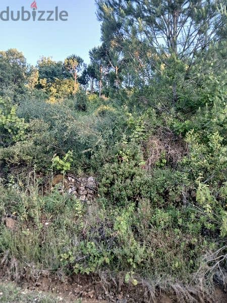 ارض للبيع في الرملية عاليه نبع الصفا land for sale in aley rmlye 2