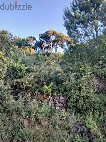 ارض للبيع في الرملية عاليه نبع الصفا land for sale in aley rmlye 4