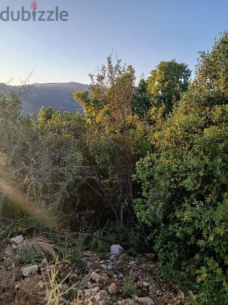 ارض للبيع في الرملية عاليه نبع الصفا land for sale in aley rmlye 12