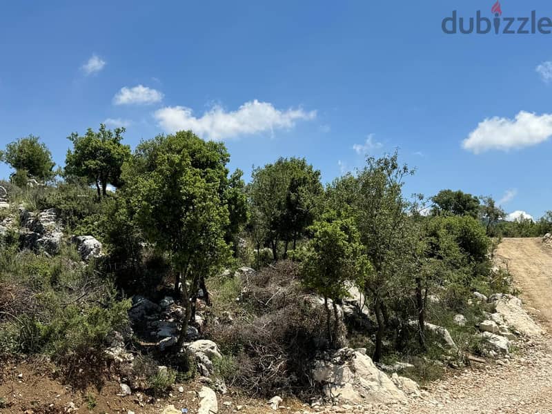 Land for sale in Mechmech-أرض للبيع في مشمش 4