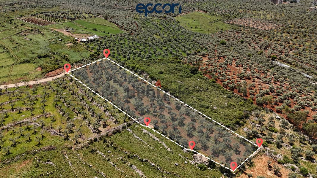 LAND FOR SALE IN BSARMA - أرض للبيع في بصرما 3