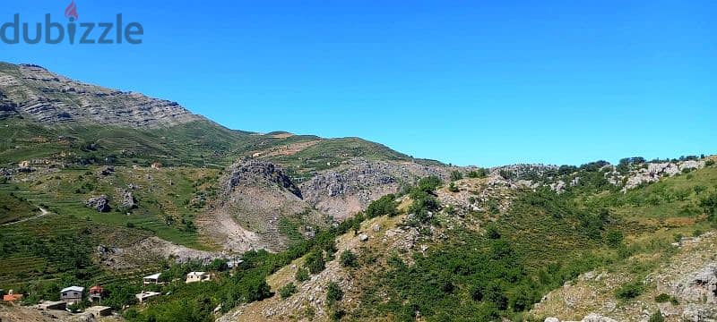 Wonderful land 3050 sqm in Tannourine near the Cedars 1