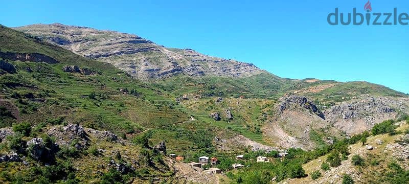 Wonderful land 3050 sqm in Tannourine near the Cedars 2