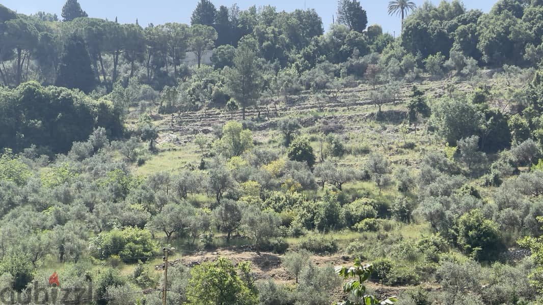 RWB156CA - Land for sale in Chamat Jbeil 1