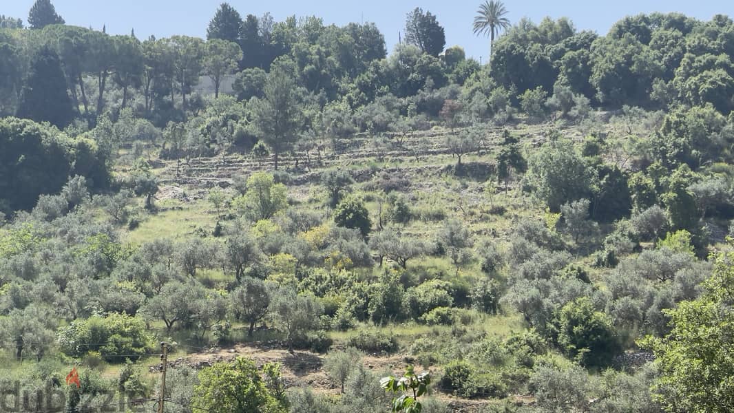 RWB156CA - Land for sale in Chamat Jbeil 2