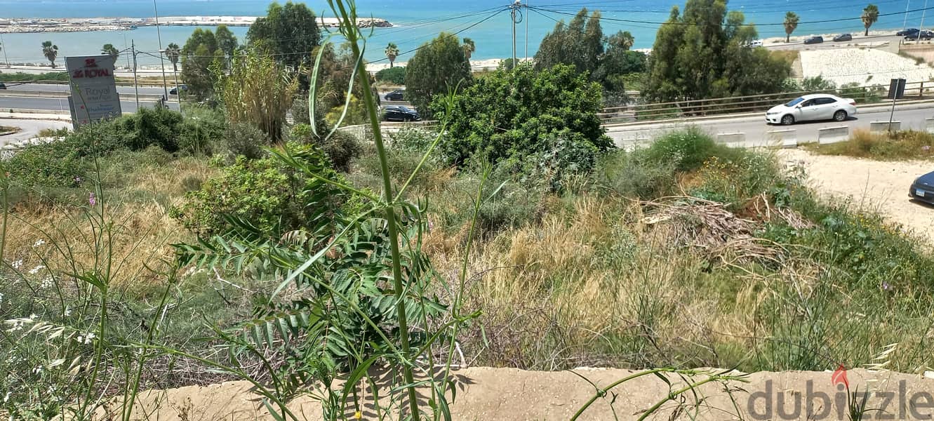 Prime Location Land in Dbayeh for Sale أرض بموقع متميز في ضبية للبيع 2