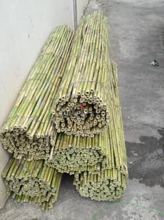 asab bamboo in feitrun for tents (قصب للخيم في فيطرون)