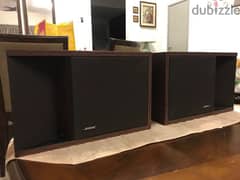 Bose  vintage American speakers 70 watt / 8 ohm