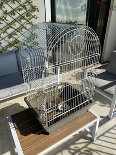 parrot cage - قفص ببغاء