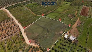 LAND FOR SALE IN A LUXURIOUS AREA IN BSARMA -  أرض للبيع في بصرما