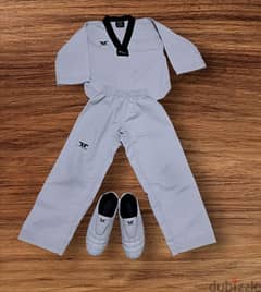 taekwondo equipment for 90$