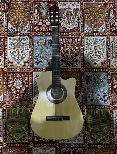 Accoustic Guitar