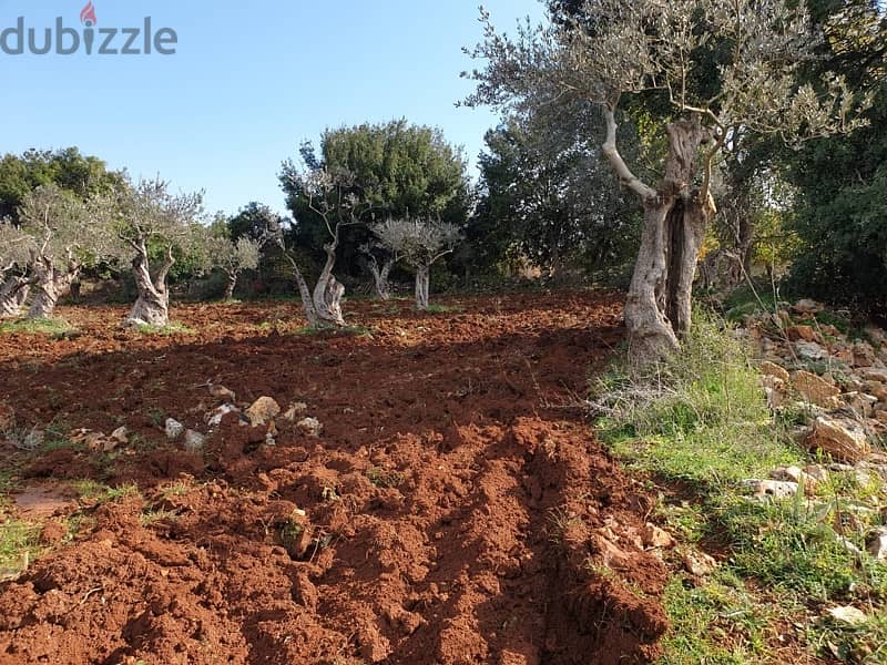 land for sale kferhazir 1