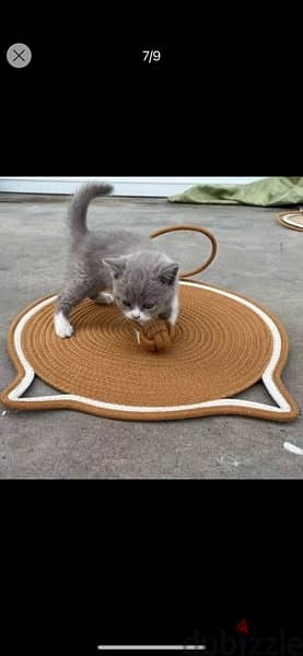 سجادة للقططCat Scratching Mat With Integrated Toy Ball 1