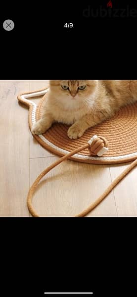 سجادة للقططCat Scratching Mat With Integrated Toy Ball 2