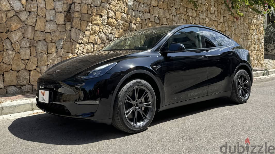 Tesla Model Y Long Range AWD 2023 0