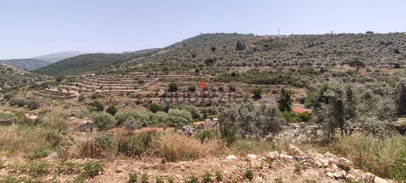 4100 Sqm | Land for sale in Hasbaya / Nabatiyeh 1