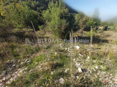 Wonderful Land | Zebdine | Negotiable