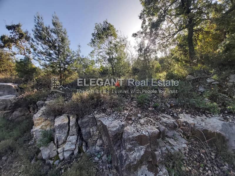 Wonderful Land | Zebdine | Negotiable 1