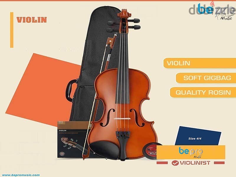Professional Violin 0