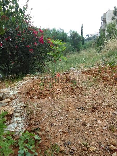 land for sale in ayn saade 500k. ارض للبيع في عين سعاده ٥٠٠،٠٠٠$ 0