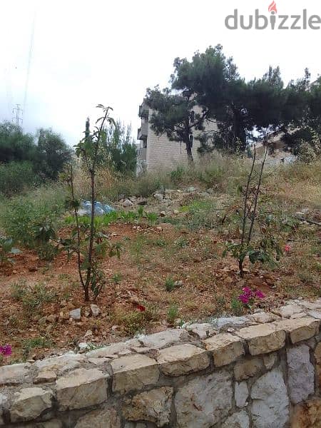 land for sale in ayn saade 500k. ارض للبيع في عين سعاده ٥٠٠،٠٠٠$ 2